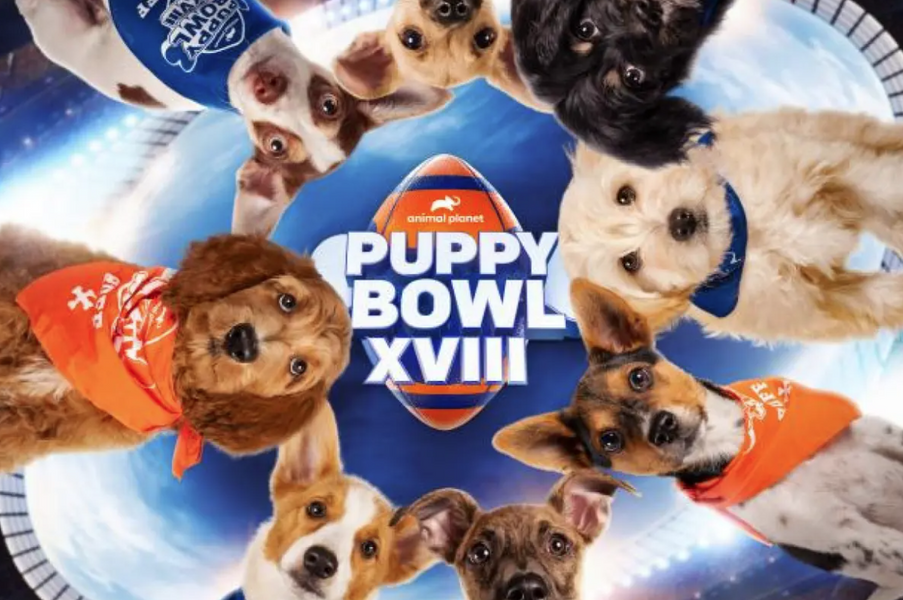 Puppy Bowl 2022!!!